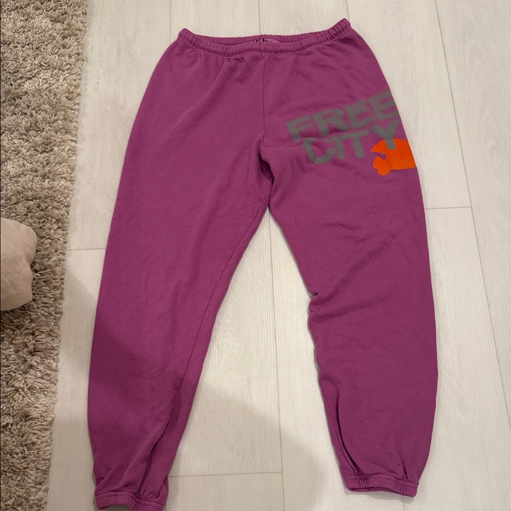 Free city  Purple Sweatpants